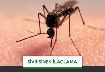 sivrisinek ilaçlama
